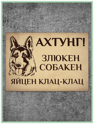 Achtung! Zluken Sobakiren ( Злюкен Собакірен )... or a sign that made me  smile :) — Steemit