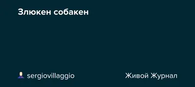 Характеристики модели Табличка Злюкен Собакен / табличка / таблички /  таблички на дверь / прикольные подарки / декор для дома / сувениры и  подарки / таблички информационные — Таблички — Яндекс Маркет