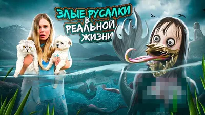 Металлическая табличка / постер \"Осторожно! Злая Собака! Злой Хозяин! Злая  Хозяйка, Злые Дети, И Вообще Тут (ID#1408161164), цена: 180 ₴, купить на  Prom.ua