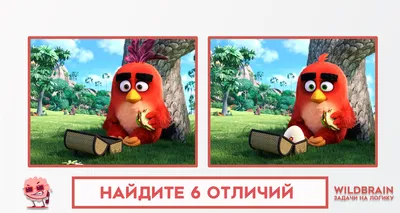 Angry birds cake. Торт Злые птицы