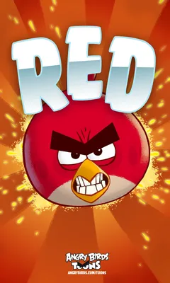 Toys Corporation Злые Птички 2 шт Angry Birds