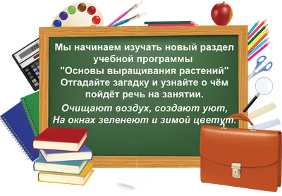 Счастливый цветок, или Комнатные растения, которые приносят достаток и  здоровье - Декор