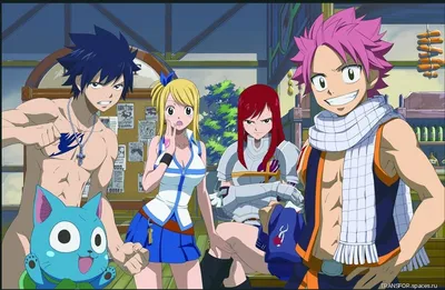 Эрза Скарлет | Fairy Tail Wiki | Fandom