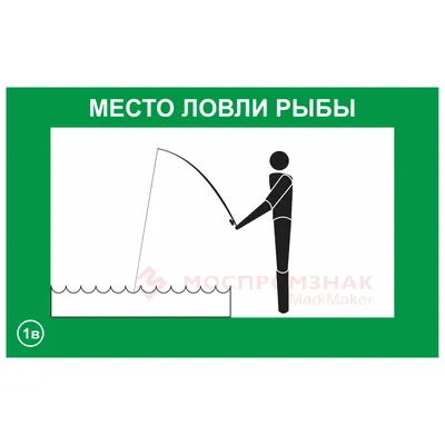 Кого они хотят в отношениях и кто им на самом деле нужен | Знак рыбы,  Гороскоп рыбы, Знаки зодиака