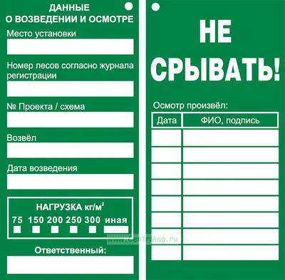 Правила безопасности при походе в лес - Новости - Главное управление МЧС  России по Тверской области