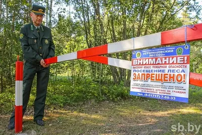 Леса снова закрыты для посещения граждан - Департамент гражданской защиты,  охраны окружающей