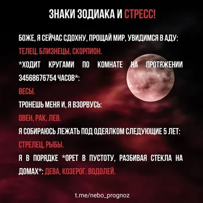 Гороскоп на 2 августа: Телец наводит порядок, а Близнецы получают подарки  от судьбы - AmurMedia.ru