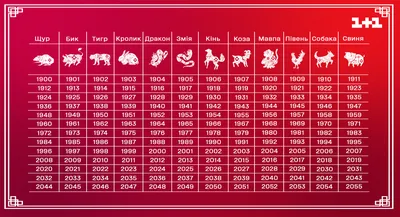 Китайський гороскоп на 2022 год Тигра для восточных знаков зодиака по году  рождения