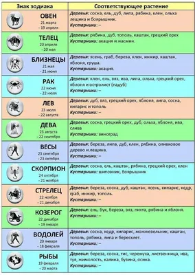 Совместимость по году рождения знаков зодиака восточного гороскопа