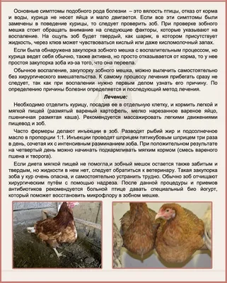 8 in 1 ECOTRITION, Bird Gravel Гравий для заполнения зоба птиц , уп. 680 г  - Купить с Доставкой по Москве