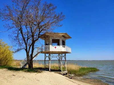 Золотая коса азовское море - 72 фото