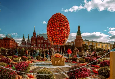 Золотая осень на юго-западе Москвы