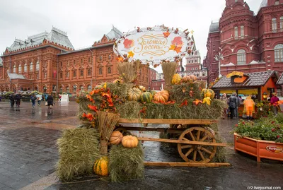 Золотая осень в Москве стоковое изображение. изображение насчитывающей  ландшафт - 34469869