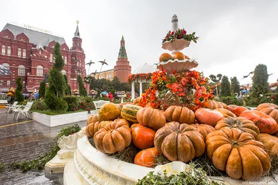 Золотая осень 🍂 в столице Хорошо, есть осень, она нежно и аккуратно  готовит нас к холодам. Любимая осень. Время размышлений, рук в… | Instagram