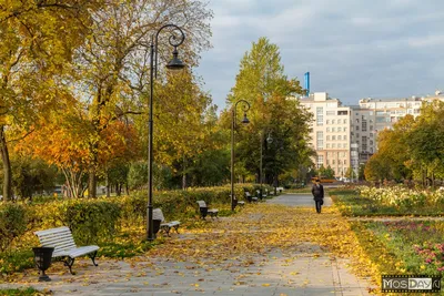 Праздник урожая: как пройдет фестиваль «Золотая осень» / Новости города /  Сайт Москвы