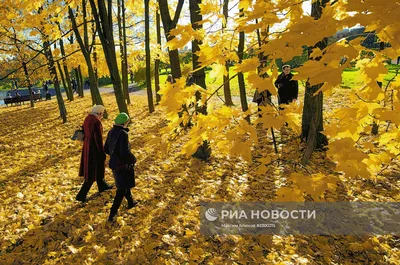 Золотая Осень в Москве