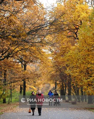 На следующей неделе в Москву придет золотая осень - Московская перспектива