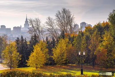 КРАСИВЫЕ КАДРЫ on Instagram: \"Добрый вечер, друзья! 🍁🍂🍁 Золотая осень в  Москве. 🍁🍂🍁 Больше красивых фото по ссылке в профиле. Благодарим  @andrey_rat… | Картины пейзажа, Пейзажи, Осень