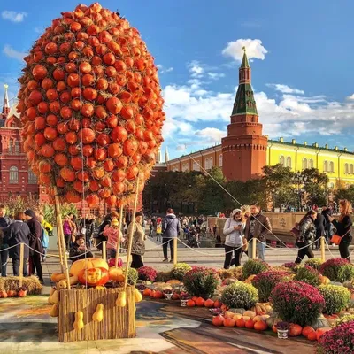 Золотая осень в Москве #стихи | Аргуновская. Стихи | Дзен