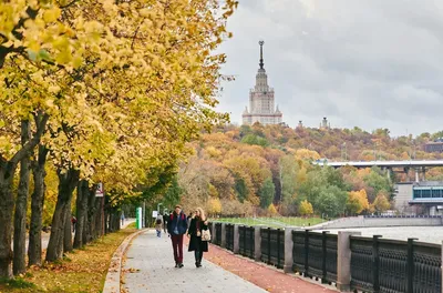 Фото: Золотая осень в Москве... Фотолюбитель Алла Савелова. Город. Фотосайт  Расфокус.ру