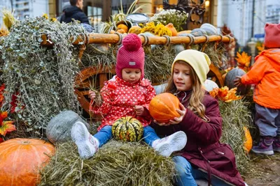 Golden autumn. Moscow region, Russia | Золотая осень. Подмос… | Flickr