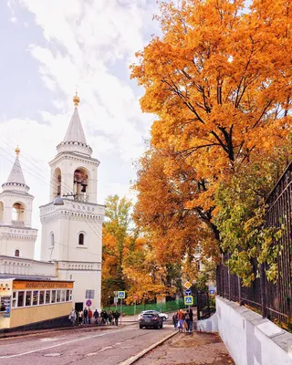 Золотая осень в Москве - городской пейзаж маслом