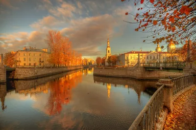 Золотая осень в Санкт-Петербурге :: Рашид – Социальная сеть ФотоКто