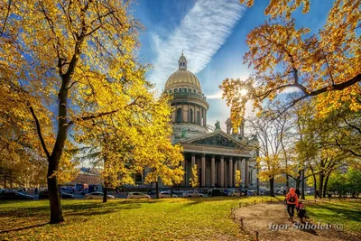 Золотая осень в Санкт-Петербурге. Фотограф Игорь Соболев