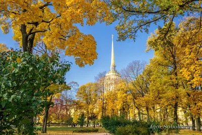 Осенний Петербург - очей очарованье