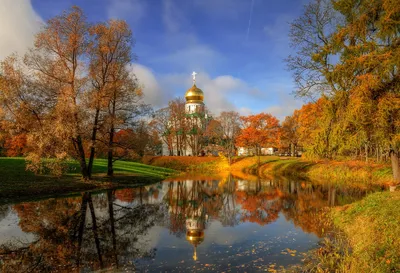 Золотая осень в Санкт-Петербурге, Россия Стоковое Фото - изображение  насчитывающей ноябрь, пуща: 126010124