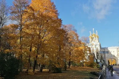 Золотая осень азербайджанки в Санкт-Петербурге (ФОТО)