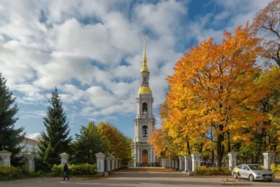 Золотая осень в Петербурге. | Санкт-Петербург, Ленинградская область,  Карелия. | Дзен