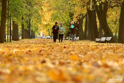 Золотая осень в Санкт-Петербурге - Ольга де Бенуа