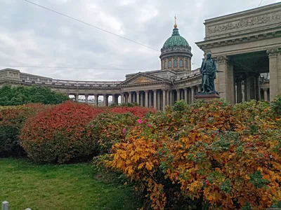 Пазл «Золотая осень в Санкт-Петербурге» из 143 элементов | Собрать онлайн  пазл №151233