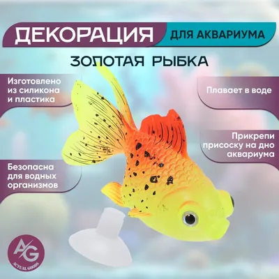 Статуэтка, 20 см, полирезин, золотистая, Рыбка, Goldfish — купить в  интернет-магазине Kuchenland Home с доставкой по Москве и России