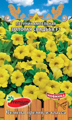 Купить подарки и сувениры на годовщину золотой свадьбы 50лет, цена,  недорого в Киеве