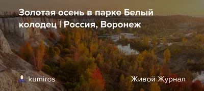 Золотая осень в парке Динамо | Россия, Воронеж