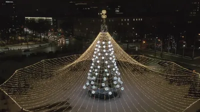 Золотое дерево Воронеж фото фотографии