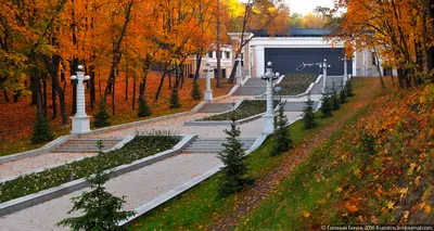 Золотая осень в парке Белый колодец | Россия, Воронеж