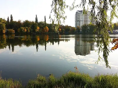 Дом в Краснодарский край, Краснодар Золотой Город кп, ул. Поморская .,  Купить дом в Краснодаре, ID объекта - 50011573497