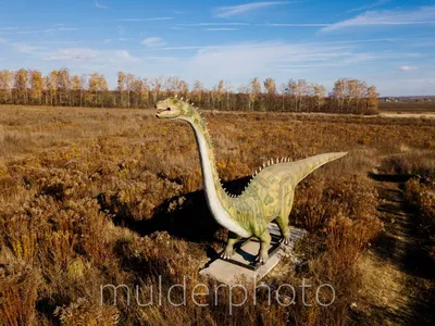 В Тульской области достроят «Парк динозавров», взбудораживший соцсети |  26.07.2021 | Общество | Центр71 - все новости Тулы