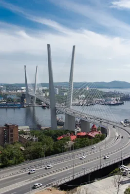 Золотой мост Владивосток фото фото