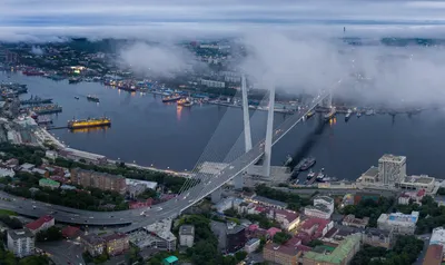 Золотой мост, Владивосток, Россия Стоковое Фото - изображение насчитывающей  туризм, взгляд: 46412932