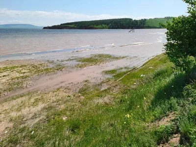 Дороги к знаменитым «золотым пескам» на Братском море » Усольская Городская  Газета