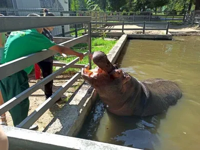 Алматы хайуанаттар бағы / Алматинсикий зоопарк (@almatyzoo) • Instagram  photos and videos