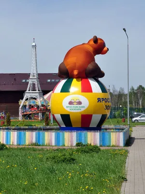 MAMADO - Ярославский зоопарк / Yaroslavl zoo