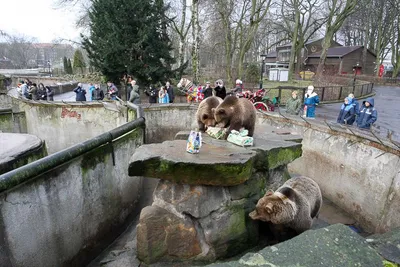 Калининградский зоопарк, Калининград: лучшие советы перед посещением -  Tripadvisor