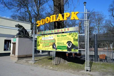 Зоопарк в Калининграде приняли в Европейскую ассоциацию
