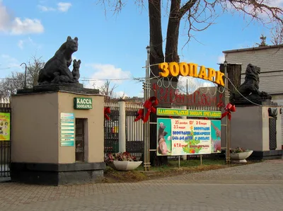 Зоопарк в Калининграде. Слон — есть! | ВездеХоды. Путеводитель. | Дзен