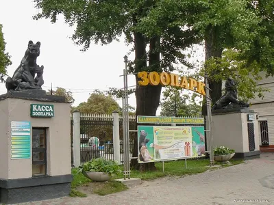 Зоопарк, Калининград | отзывы